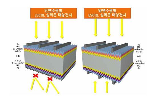 단면수광형 ESCRE 실리콘 태양전지 및 양면수광형 ESCRE 실리콘 태양전지 구조