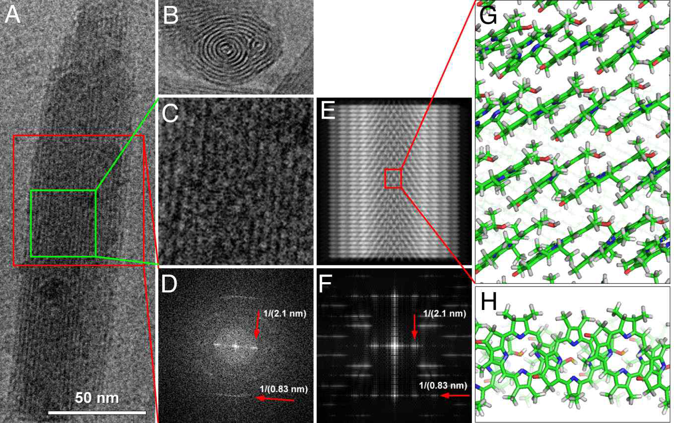 클로로좀의 CryoEM 사진과(A-C), NMR 결과로 인한 예측된 분자 배열구조(D-H)[1]