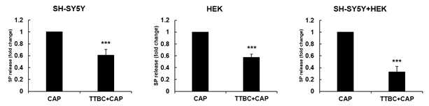 캡사이신과 TTBC 처리에 의한 Substance P 분비 변화