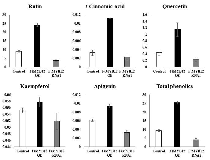 HPLC Analysis of Phenolic Compounds in tartary buckwheat hairy root transformed with FtMYB12 overexpression vector and FtMYB12 RNAi vector