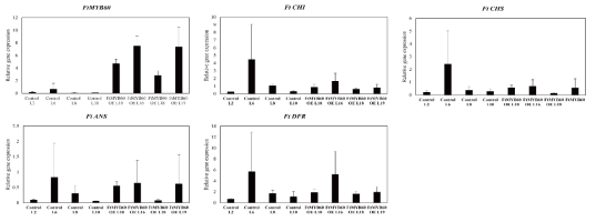 Gene expression of phenylpropanoid biosynthetic genes in MYB60 overexpressed tartary buckwheat T10 hairy root