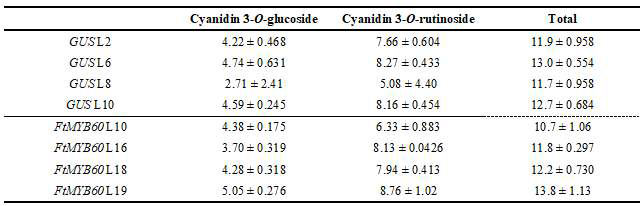 Anthocyanin content in MYB60 overexpressed tartary buckwheat T10 hairy root