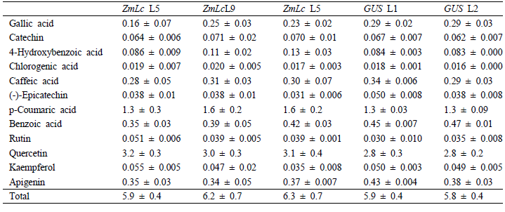 Phenolic compound content in ZmLc overexpressed tartary buckwheat T10 hairy root