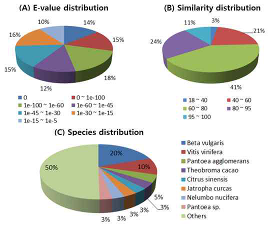 Classification of NR annotation results of the F. tataricum, T8 unigenes