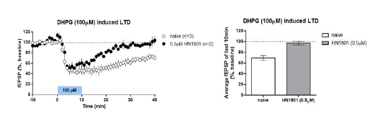DHPG 첨가로 mGluR을 과활성화하여 LTD가 유도되었고 Arc 합성을 유도하는 mTORC2의 억제제 HN1801을 처리하면 Arc가 LTD 형성이 억제되었음
