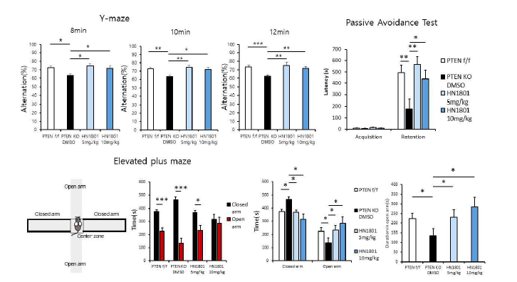 Pten cKO 자페모델 쥐의 인지 기능과 정서불안 행동이 HN1801투여의해 개선됨