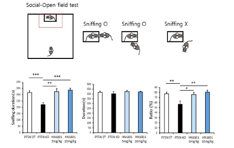 Pten cKO 자페모델 쥐에서 mTORC2 저해제 HN1801에의 한 사회성 행동(Social-Open field test) 회복