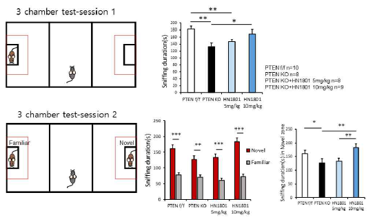 자폐모델 Pten KO쥐에 HN1801 투여후 3chamber test에서 사회성 개선