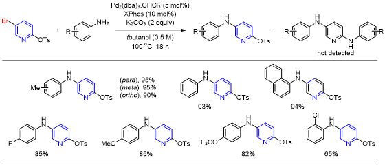 Bromide 선택적인 amination 반응의 개발을 통한 pyridine 구조의 합성(결과 일부 예시)