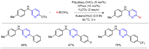 Pyridine의 2번 위치의 OTs을 이용한 커플링 반응(결과 일부 예시)