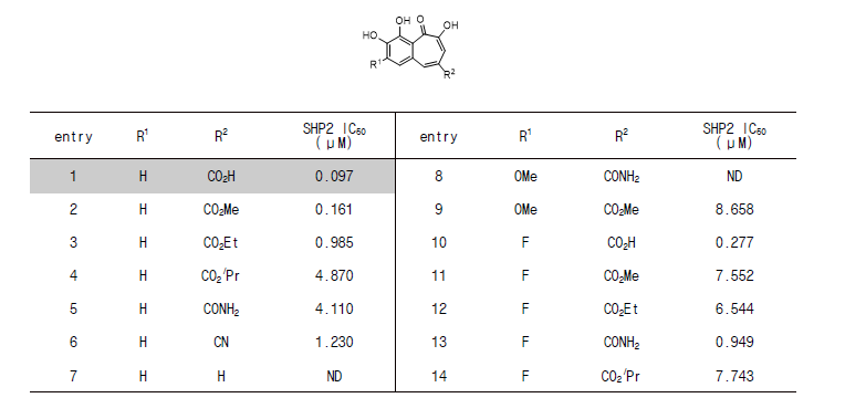 SAR (structure-activity relationship) 연구를 통한 SHP2 저해 활성 연구(결과 일부 예시)