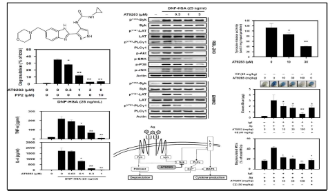 Anti-allergic effect of AT9283 in vitro and in vivo