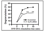 Effect of SLP2 on antigen-induced mast cell degranulation