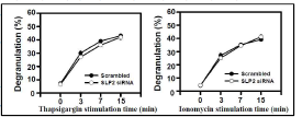Effect of SLP2 on mast cell degranulation when calcium ion concentration is increased