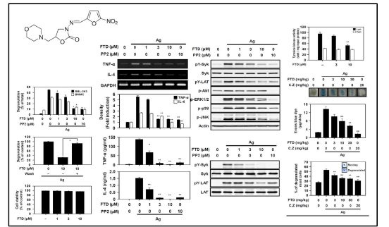 anti-allergic effect of furaltadone in vitro and in vivo
