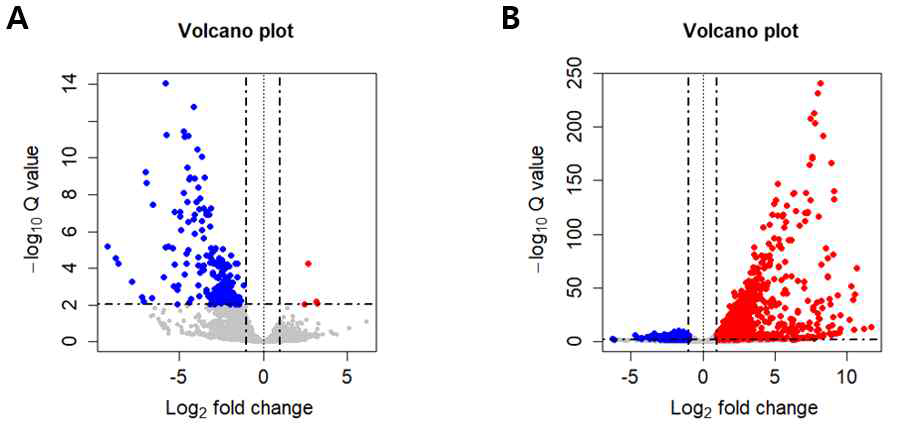 마우스 대식세포에 LPS 처리 후 변화된 유전자의 Volcano Plot. 점선은 Fold change > 2, Q-value < 0.01을 표시함. (A) 대조군 (B) 대식세포 특이적 GABAARa4 녹아웃 마우스