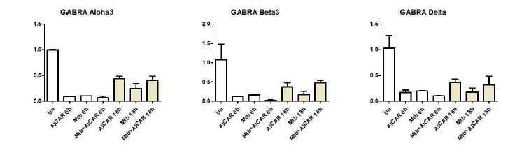 마우스 대식세포에 대하여 결핵균 및 자가포식 활성인자 처리 후 GABAA 수용체 아형의 mRNA 발현 변화 분석