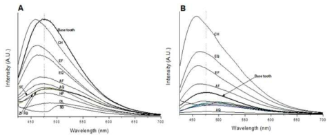 AF spectra of the two-layer (a resin product+sound tooth) situation. 치아와 레진이 두 층을 이루는 상황에서 상층에 있는 레진의 두께가 0.05 mm로 아주 얇아도, 아래에 위치한 치아에서 발광하는 형광에 영향을 받지 않음. 이는 레진이 아주 얇게 충진 되어 있는 상황에서도 레진만 치아로부터 구분하여 제거가 가능함을 의미함