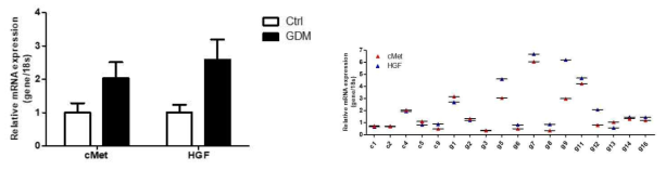 정상산모와 임신성 당뇨병환자의 태반 HGF, cMET mRNA 발현 비교