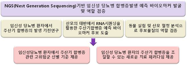 연구의 개념도