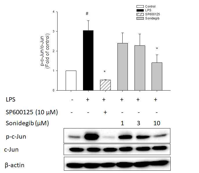 Sonidegib에 의한 LPS-유도 c-Jun 인산화 억제