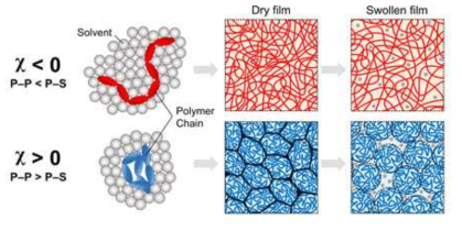 용매 친화도에 따른 고분자 사슬 형태와 용매 팽윤 전후 고분자 박막 내 사슬 형태 모식도