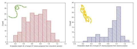 클로로포름 또는 톨루엔 용액 내 MEH-PPV 사슬의 M 히스토그램과 사슬 형태 모식도