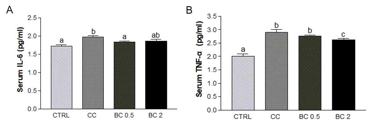 Effects of β-carotene on systemic pro-inflammatory cytokines in CT26-induced cancer cachexia mouse model. Concentrations of pro-inflammatory cytokines in serum were analyzed. Levels of (A) Il-6 and (B) Tnf-α were detected using ELISA assays. CC, Cancer cachexia; BC, β-carotene; BC 0.5, BC 0.5 mg/kg b.w. supplementation; BC 2, BC 2 mg/kg b.w. supplementation