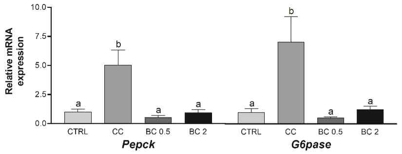 Effects of β-carotene on the mRNA expressions of gluconeogenic markers in livers of CT26-induced cancer cachexia mouse model. mRNA levels of gluconeogenic markers, Pepck and G6pase were detected by the real-time RT-PCR and Gapdh was used as a loading control. CC, Cancer cachexia; BC, β -carotene; BC 0.5, BC 0.5 mg/kg b.w. supplementation; BC 2, BC 2 mg/kg b.w. supplementation