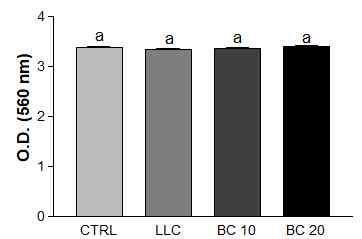 Effects of β-carotene on cell survival in C2C12 myoblast co-cultured with LLC lung cancer cell. MTT analysis was performed. CC, C2C12 myoblast co-cultured with LLC lung cancer cell; BC, β-carotene; BC 10, BC 10 uM; BC 20, BC 20 uM