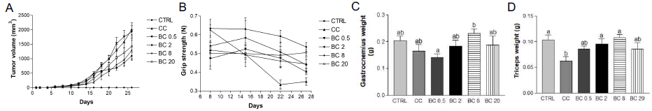 Effects of various doses of β-carotene on tumor volume, grip strength, gastrocnemius muscle weight and quadriceps muscle weight in LLC-induced cancer cachexia mouse model. (A) Tumor volume, (B) grip strength, (C) gastrocnemius muscle weight, and (D) quadriceps muscle weight were analyzed. CC, Cancer cachexia; BC, β-carotene; BC 0.5, BC 0.5 mg/kg b.w. supplementation; BC 2, BC 2 mg/kg supplementation; BC 8, BC 8 mg/kg b.w. supplementation; BC 20, BC 20 mg/kg b.w. supplementation