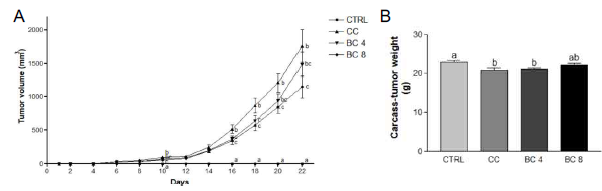 Effects of β-carotene on tumor volume and carcass-tumor weight in LLC-induced cancer cachexia mouse model. (A) Tumor volume and (B) Carcass-tumor weight were analyzed. CC, Cancer cachexia; BC, β-carotene; BC 4, BC 4 mg/kg b.w. supplementation; BC 8, BC 8 mg/kg b.w. supplementation