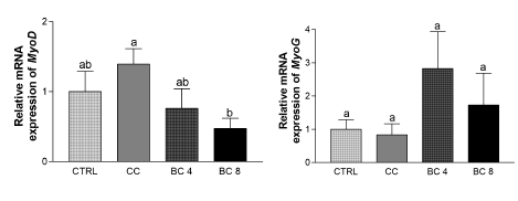 Effects of β-carotene on muscle differentiation markers in gastrocnemius muscle of LLC-induced cancer cachexia mouse model. mRNA level of muscle differentiation marker, (A) MyoD and (B) MyoG were detected by the real-time RT-PCR and GAPDH was used as a loading control. CC, Cancer cachexia; BC, β-carotene; BC 4, BC 4 mg/kg b.w. supplementation; BC 8, BC 8 mg/kg b.w. supplementation