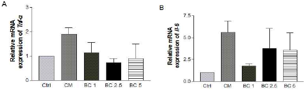 Effects of β-carotene-treated CT26 cell-derived conditioned media on the mRNA expressions of inflammatory cytokines in 3T3-L1 cells. After CT26 colon cancer cells were treated with various doses of β-carotene (0, 1, 2.5, 5 uM) for 48 h, conditioned media were collected to be treated to 3T3-l1 cells during adipogenesis for 6 days. mRNA level of inflammatory cytokines markers, (A) Tnf-α and (B) Il-6, were detected by real-time RT-PCR and β-actin was used as a loading control. BC, β -carotene; BC 1, 1 μM BC treatment group; BC 2.5, 2.5 μM BC treatment group; BC 5, 5 μM BC treatment group