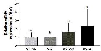 Effects of β-carotene on the mRNA expressions of DLK1 in human primary preadipocyte co-cultured with colon cancer organoids. mRNA levels of DLK1 were detected by the real-time RT-PCR and GAPDH was used as a loading control. CC, human primary preadipocyte co-cultured with colon cancer organoids; BC, β-carotene; BC 0.5, BC 0.5 uM; BC 1, BC 1 uM treatment