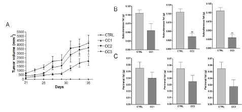 Effects of various number of injected CT26 cells on tumor volume and subcutaneous and perirenal fat weights in CT26-induced cancer cachexia mouse model. (A) Tumor volume, (B) subcutaneous fat weight and (C) perirenal fat weights were analyzed. CC1, 1x106 of CT26 cells injected cancer cachexia mouse model; CC2, 2x106of CT26 cells injected cancer cachexia mouse model; CC3, 3x106of CT26 cells injected cancer cachexia mouse model; **P < 0.01