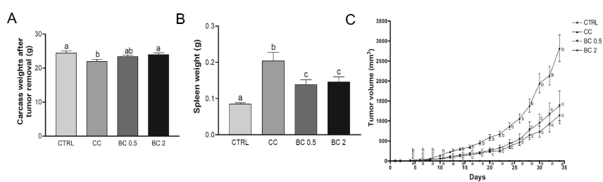 Effects of β -carotene on carcass-tumor weight, spleen weight, and tumor volume in CT26-induced cancer cachexia mouse model. (A) Carcass-tumor weight, (B) spleen weight, and (C) tumor volume were analyzed. CC, Cancer cachexia; BC, β -carotene; BC 0.5, BC 0.5 mg/kg b.w. supplementation; BC 2, BC 2 mg/kg b.w. supplementation