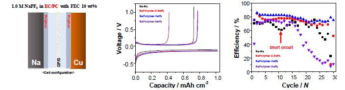 고분자층이 도입된 Na 금속-Cu 전지 특성 평가