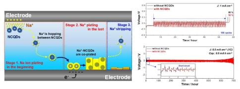 Na 금속 전해액 내 NCQD 첨가제 기술과 Na-금속 전지 전기 화학 성능