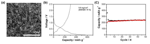(a) Sn/SnO2 복합물질 SEM 이미지 (b) Na 이온 전지- 첫 번째 충·방전 사이클 특성 (c) Na-ion 전지 수명 특성