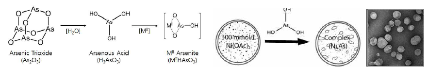 산화비소 분자결정의 구조와 수용액에서 단분자 형태로 존재하는 Arsenous Acid의 분자 구조 (left) 및 리포좀 내부에 전이금속/산화비소 (MHAsO3) 착화합물의 분자 구조로 담지된 산화비소 항암 치료제의 모식도 및 투과전자현미경 사진 (right)