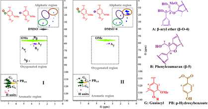 2D-HSQC NMR spectra of Kraft lignin and bio-oil obtained upon depolymerization of Kraft lignin with hybrid MW+US process