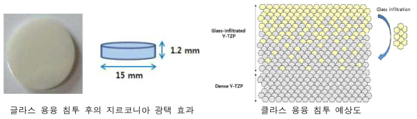 지르코니아-글라스 용윰 침투 결과