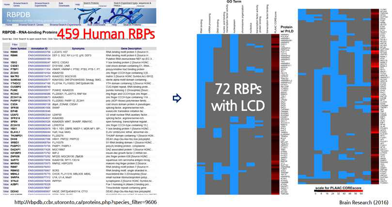 RBP 459개(좌측)와 72개의 RBPs with LCD 그룹(우측)