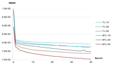 Learning curves of neural networks that have conducted TL and BTL