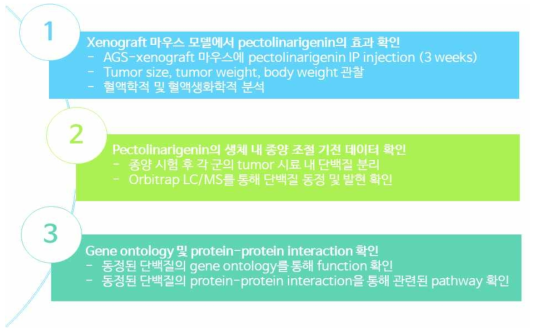 연구개발과제 수행 과정