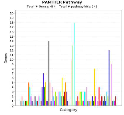 PANTHER pathway