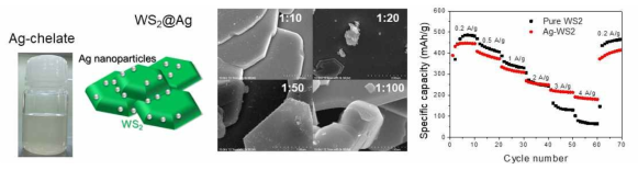 Ag 나노 입자가 부착된 WS2의 표면 이미지와 율속 특성