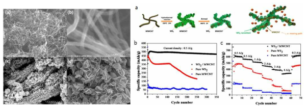 (좌) MWCNT, WS2@MWCNT의 표면 SEM 사진 (우) (a) WS2@MWCNT 하이브리드 구조체의 합성 모식도 (b-c) MWCNT, WS2, WS2@MWCNT의 사이클, 율속 특성 분석 결과