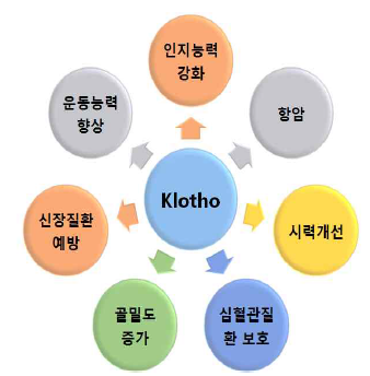 Klotho의 작용